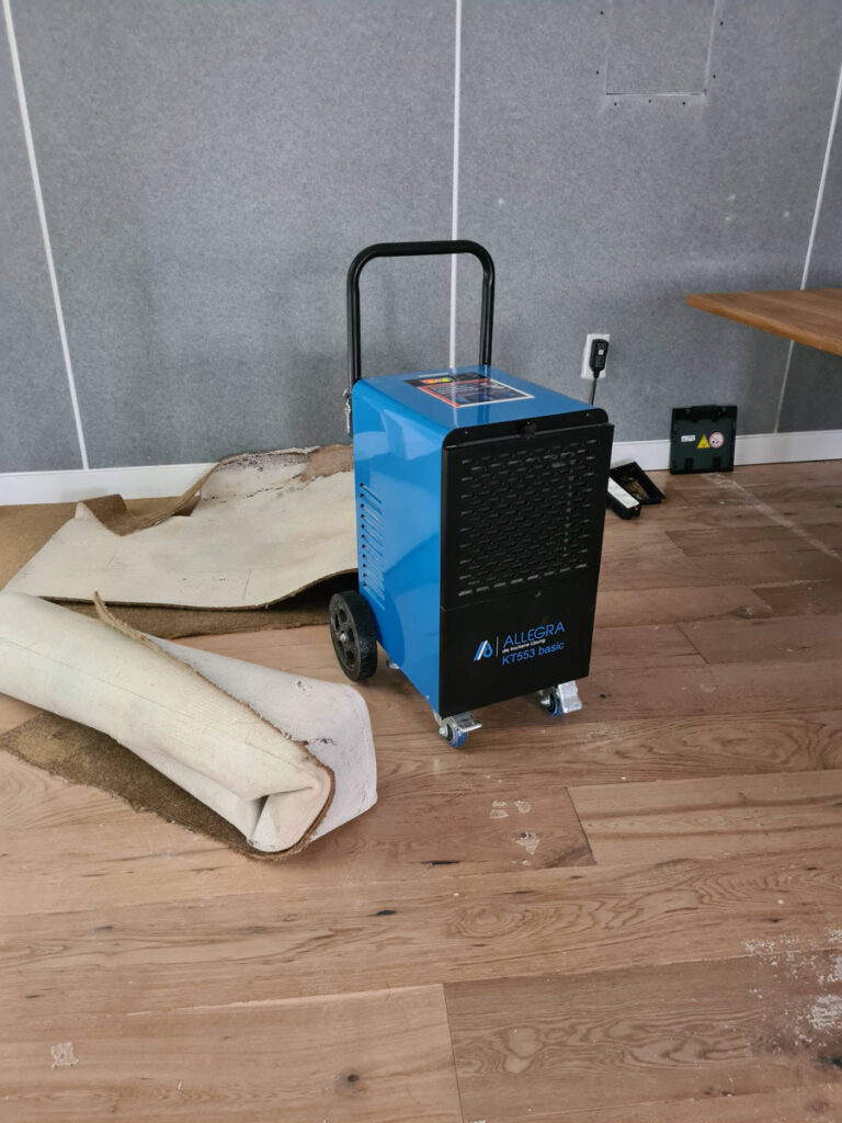 In einem raum mit grauen wänden steht ein blauer tragbarer luftentfeuchter auf einem holzboden neben einem teilweise aufgerollten teppich. eine steckdose und eine steckdosenleiste sind an der wand sichtbar.