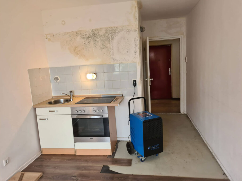 Kleine, renovierungsbedürftige küche mit schimmel an der wand über dem herd, einem blauen luftentfeuchter auf dem boden und abblätterndem bodenbelag. der raum hat weiße wände und eine offene tür, die zu einem flur mit einer roten tür führt.