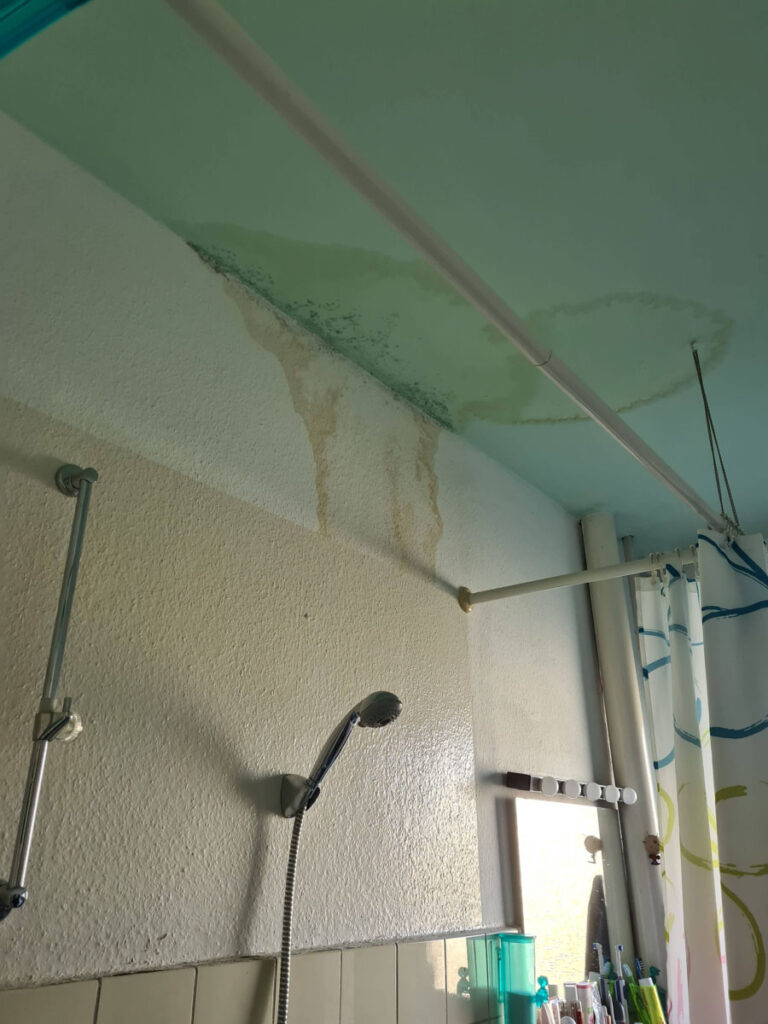 An der decke und der oberen wand eines badezimmers über einem duschbereich sind wasserflecken und schimmel zu sehen, was auf ein mögliches leck hinweist. ein duschkopf, ein fenster und mehrere zahnbürsten sind ebenfalls sichtbar.